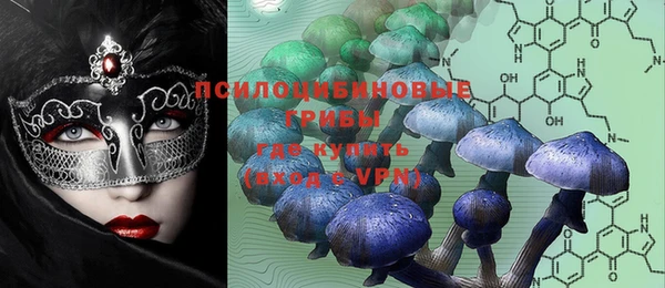 PSILOCYBIN Белоозёрский