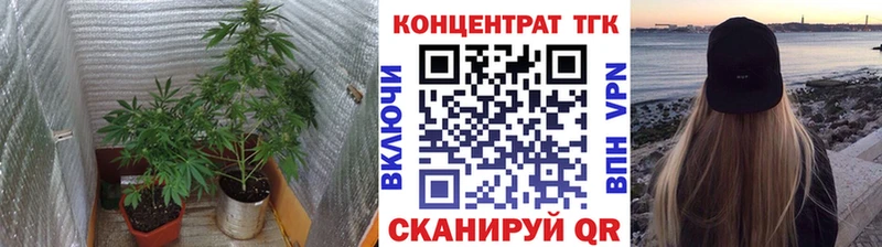мориарти какой сайт  где купить   Благодарный  ТГК THC oil 
